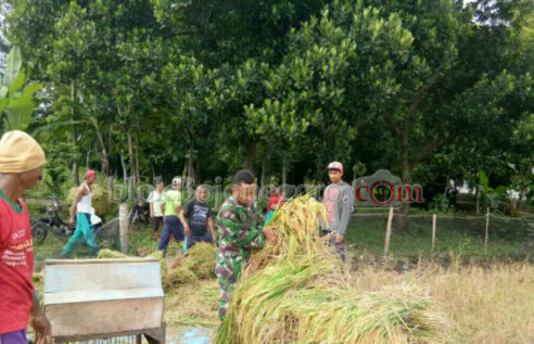 Petani Terdaftar AUTP Belum Maksimal, Baru Enam Kecamatan